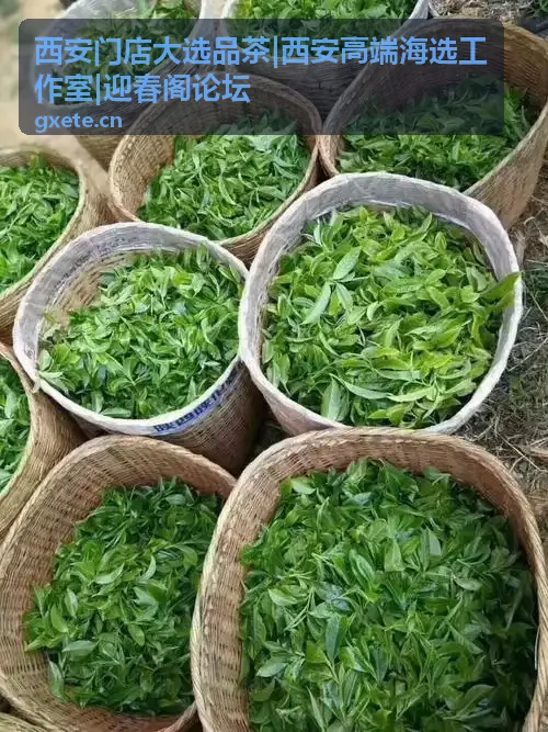 西安门店大选品茶实地走访评估